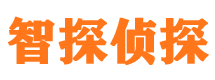 通江市私人侦探